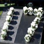 2017-graduation-250px graduation px