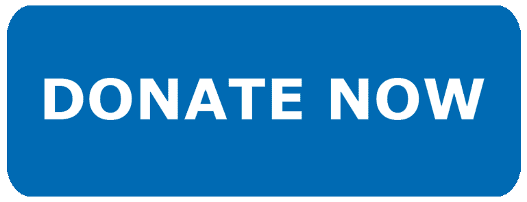 Donate Now button link